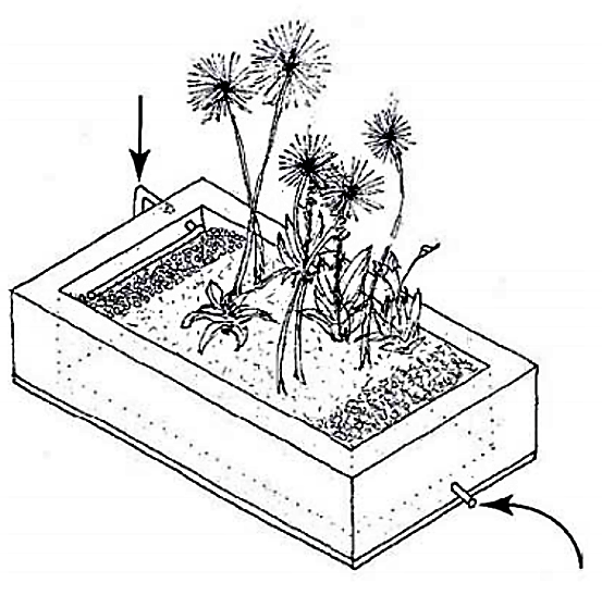 A variety of evaporation bed designs are available and the exact design and measurements depend on the amount and the kind of wastewater to be treated. Source: ECOSAN UE (2007)