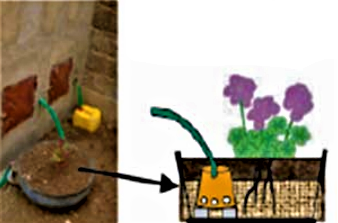 Greywater or anal cleansing water is drained in an inverted tyre planted with flowers. Source: ECOSAN UE (2007)  