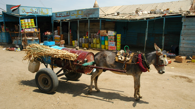 Water vendor delivers water at Suakin using a donkey cart