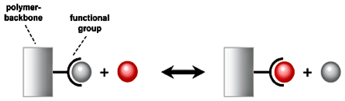 A fixed and a mobile ion are changing places in so-called ion exchange reaction. Source: NEUMANN and FATULA (2009) 