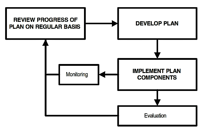 Links between planning and implementation. Note the importance that it gives to monitoring and evaluation of plan outcomes and the use of that information to review progress with the plan and evaluate its effect from time to time. Source: TAYLER et al. (2000) 