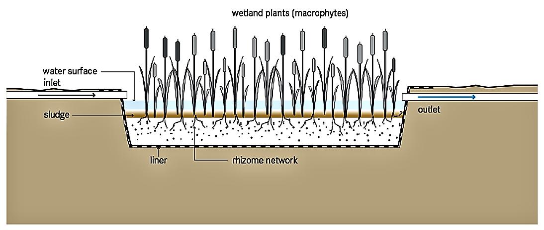 Functional schematic of a free-water surface constructed wetland. Source: TILLEY et al. (2014) 