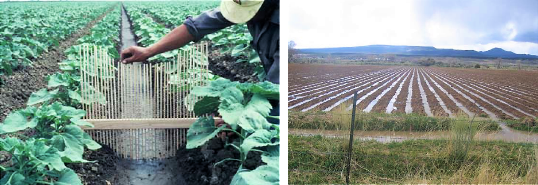 Left: Measuring of a single furrow shape. Right: A field irrigated by furrows. Source: WALKER (2003) and HILL et al. (2008)