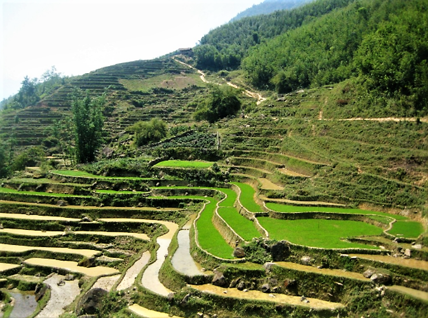 Rice cultures are the best known example of contour bunds. Here: Rice paddies in China.