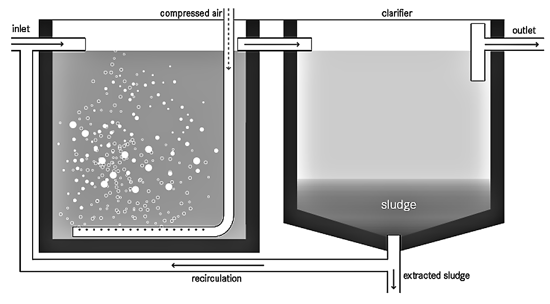 Activated sludge process treatement of spentwash Presentation1