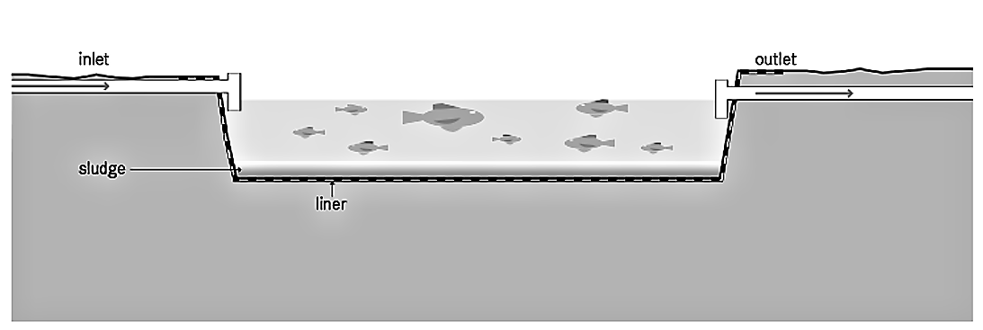 Fish Pond (Aquaculture) | SSWM - Find tools for sustainable sanitation ...