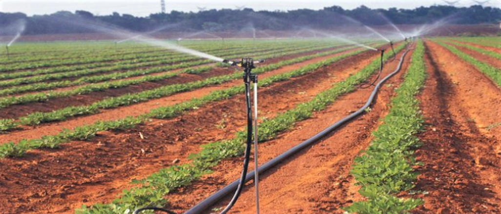 Several sprinkler heads are connected to a lateral pipe, which is supplied by a mainline. Source: ACCESS IRRIGATION (n.y.)   