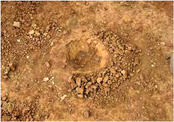Close-up of a single planting pit. Source: ADB (2008) 