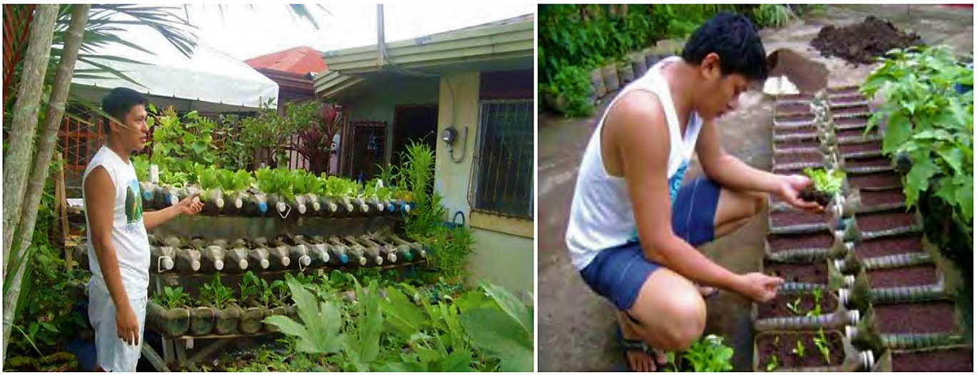 Jojo Rom tends part of his 30-square-meter container garden at his home in Davao City, Philippines. Source: AVRDC (2011)