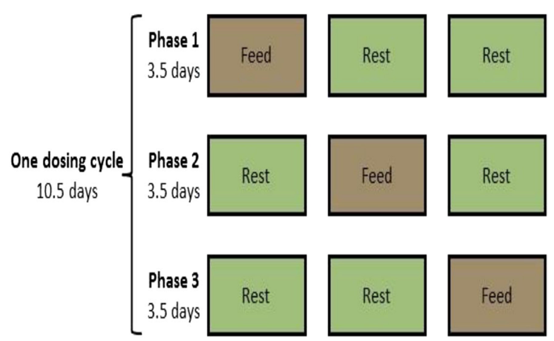 DOTRO et al. (2017). Feeding scheme for the three cells of an FRB 1st stage receiving raw wastewater 