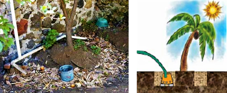 The water can also be discharged into a mulch bed around a tree. Source: ECOSAN UE (2007)      