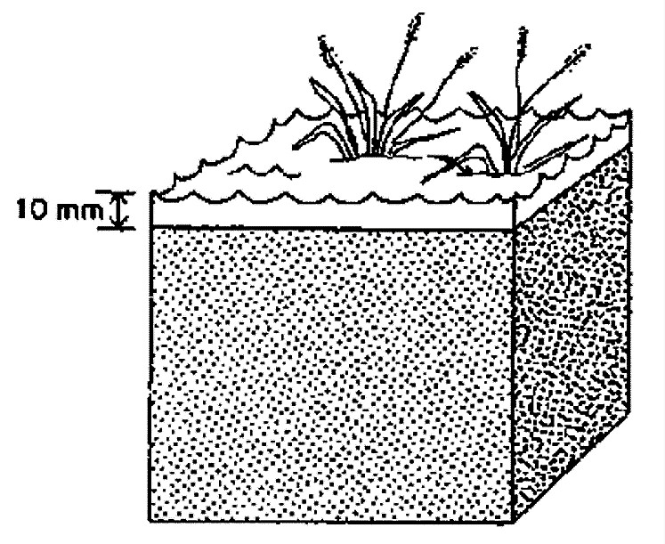 Crop water need for 10 mm a day (on a surface of 1 m2). Source: FAO (1986) 