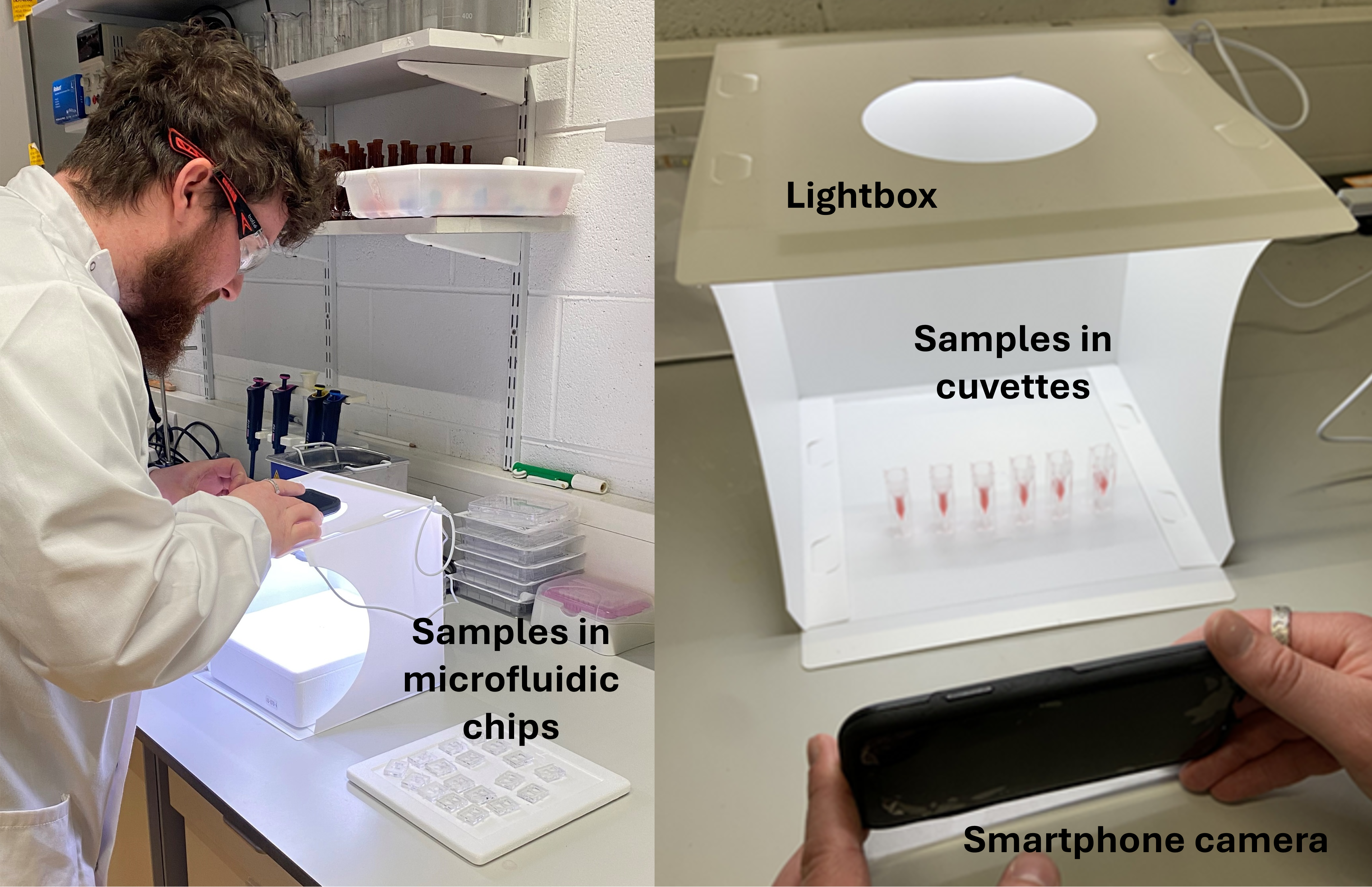 DCU 2026. Figure 1. Commercial LED white box 