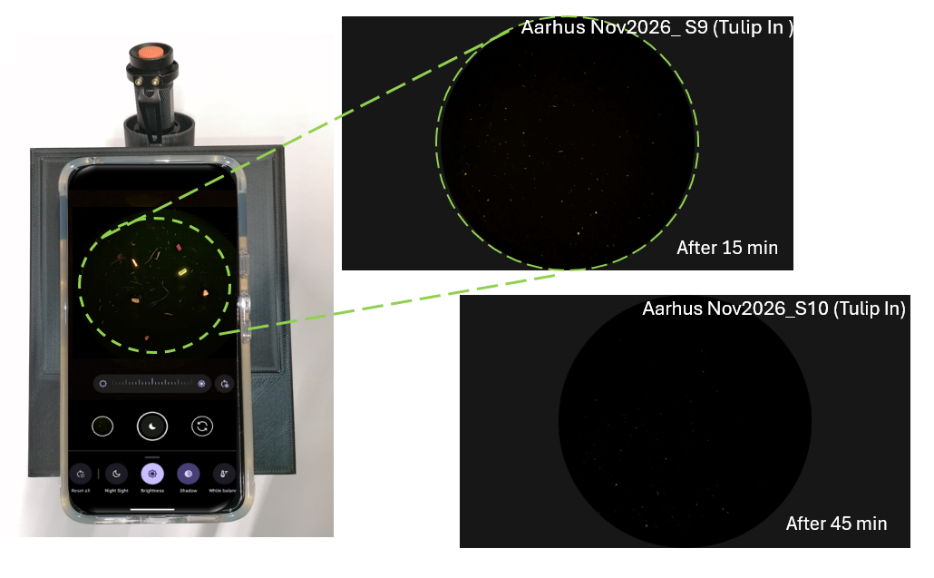DCU 2026. Figure 2. Fluorescence Imaging Box. 