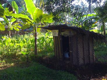 Arborloo | SSWM - Find tools for sustainable sanitation and water ...