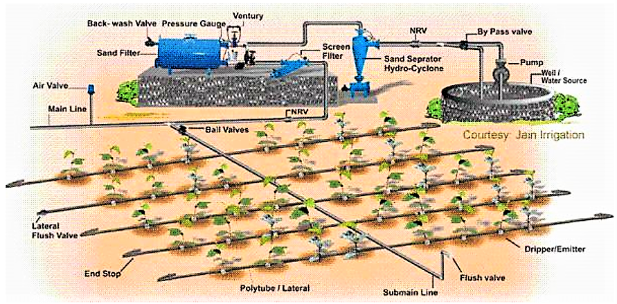 Schematic design of a commercial drip irrigation system. This includes technical components such as filters, pumps and hydraulic control valves. Source: INFONET-BIOVISION (2010)