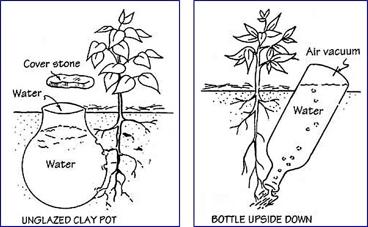 Left: Clay pot irrigation method. Right: Bottled irrigation method is also effective and simple. Bottles can be found everywhere in the world. Source: INFONET-BIOVSION (2010) 