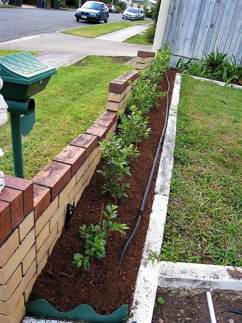 Mulch helps retain moisture in the soil. Drip irrigation lines direct water directly to where plants need it. Source: MENEZES (2008) 