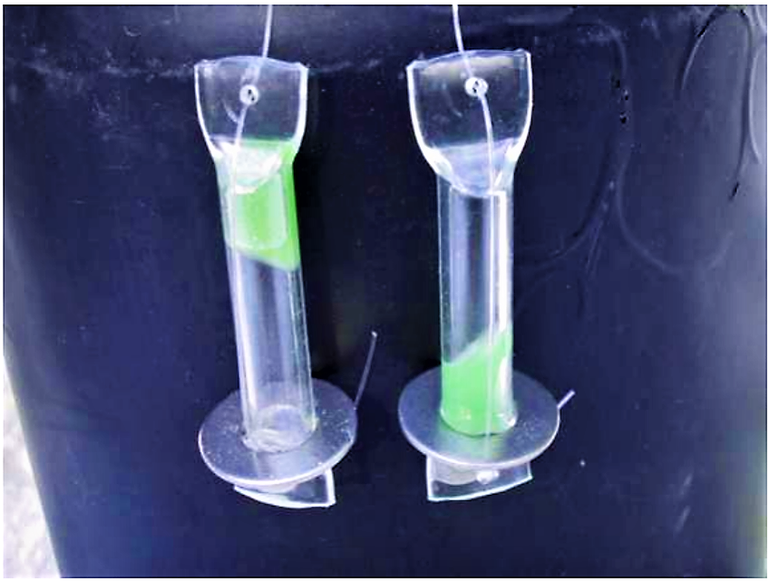 The Water Pasteurisation Indicator (WAPI) indicates when water is safe to drink. When the soybean wax inside a small tube melts at about 70°C (158°F), the wax changes from solid (left) to liquid (right) state. An iron ring ensures that the tube is staying in the same position while in the solar cooker. Source: METCALF (2006)