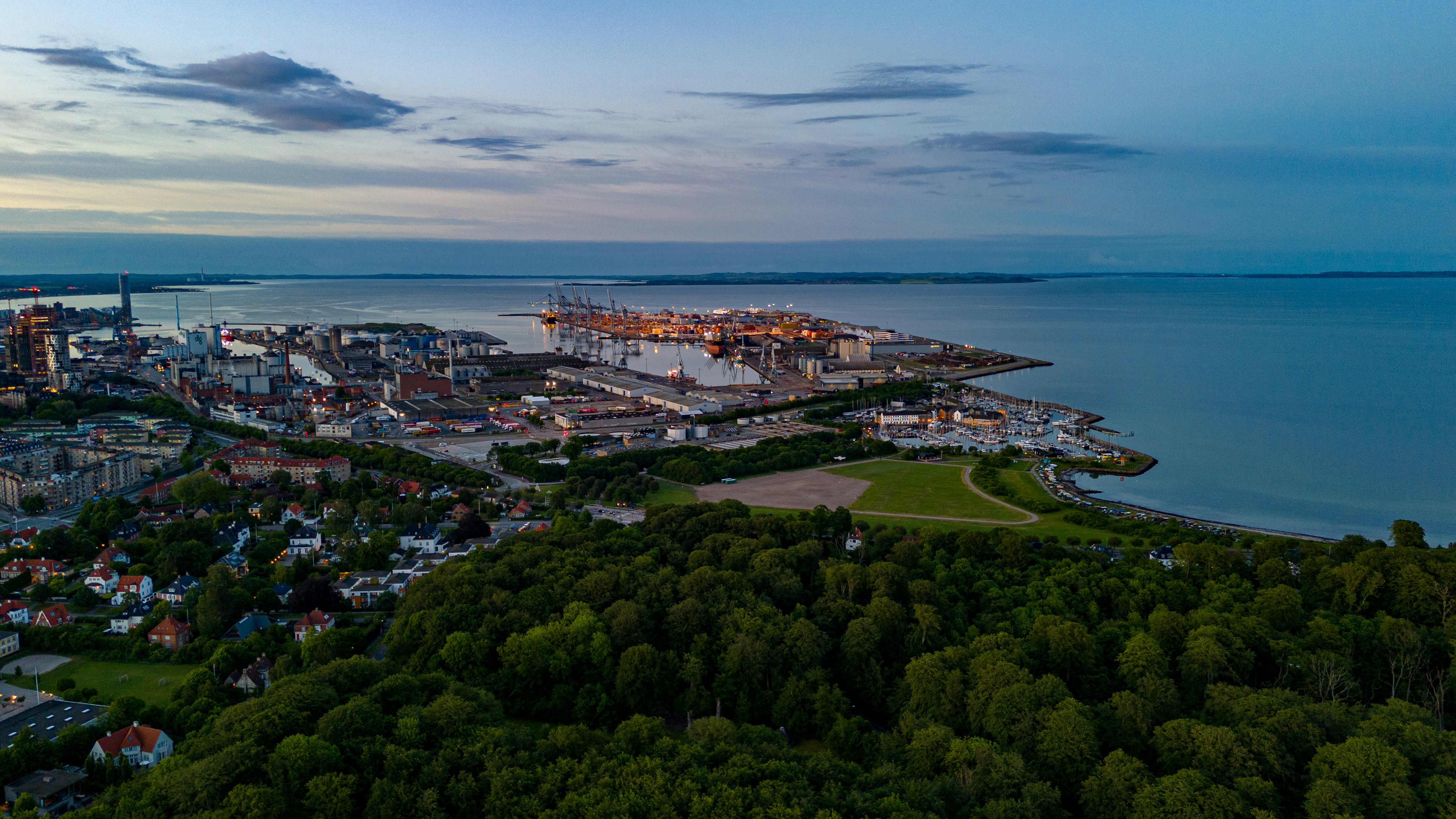 MICHAELSEN 2024. Figure 11. A view of Aarhus