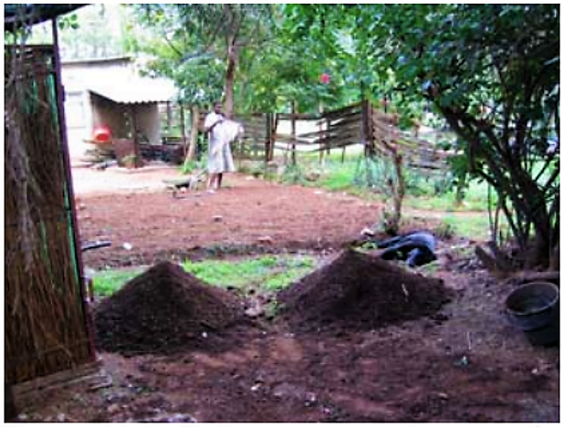 Pit humus dug out of a fossa alterna.  Source: MORGAN (2007)               