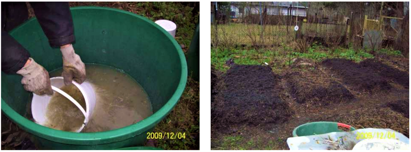 A mixture of bacteria is used for lacto-fermentation of urine (to prevent nitrogen loss) (left). After four weeks of lacto-fermentation, the transformed urine is added to vermicompost heaps prepared from garden waste (right) to increase the nutrient and humic acid content of the terra preta compost. Source: OTTERPOHL (n.y. b) 