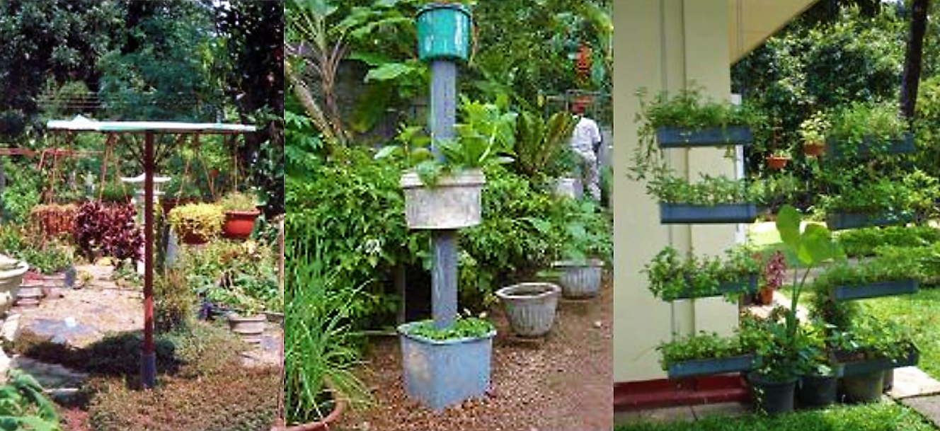 Cultivation umbrella, cultivation bangle and cultivation tat, Gampaha, Sri Lanka. Source: RANASINGHE (2007)