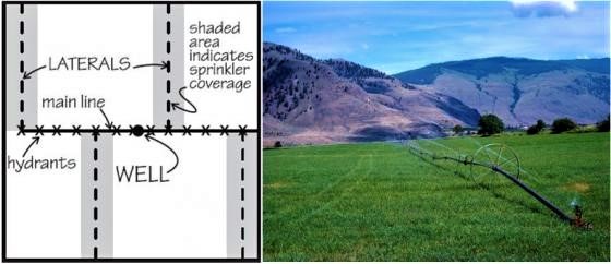 Wheel line irrigation system in the south of British Columbia, Canada. Source: SCHERER (2010) and STAUFFER (2011