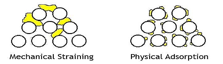 Schematic of basic filtration principles. Source: SCHMITT & SHINAULT (1996)