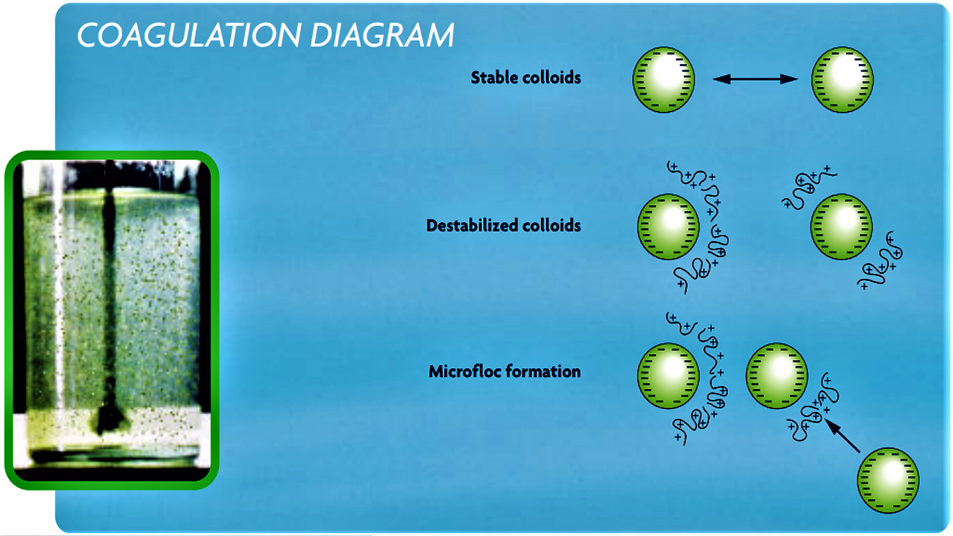 Coagulation mechanism scheme. Source: SNF FLOERGER (n.y.) 