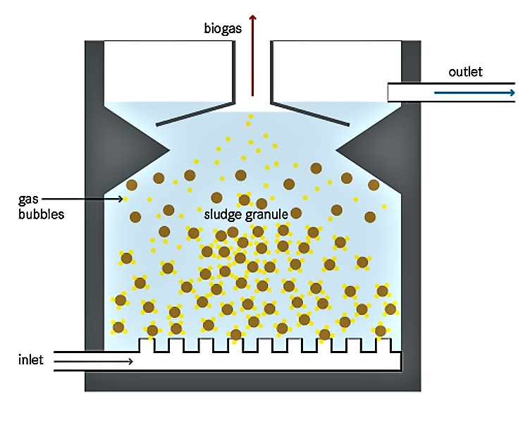 Cross-section of an Upflow Anaerobic Sludge Blanket (UASB) reactor. Source: TILLEY et al. (2014)