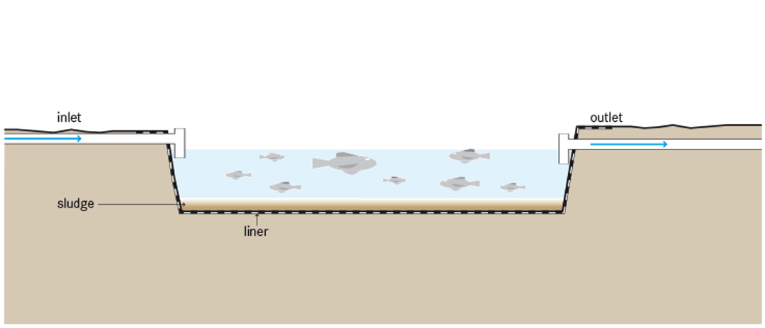 Fish Farming Pond Design