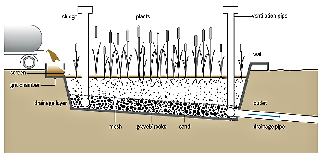 Schematic of a planted drying bed. Source: TILLEY et al. (2014)