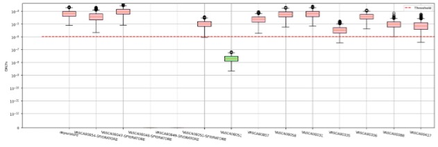 UNIVPM 2025. Fig 2 Example of the results obtained by the QMRA tool 