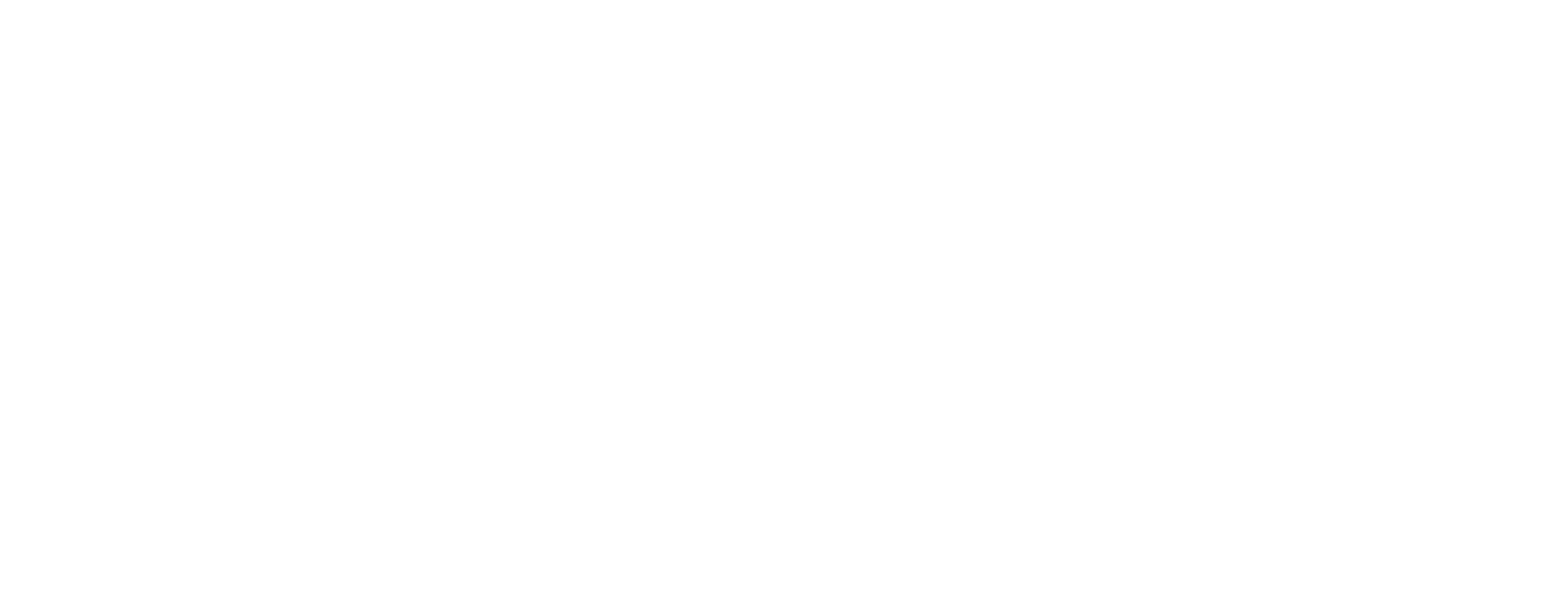Viaqua Logo