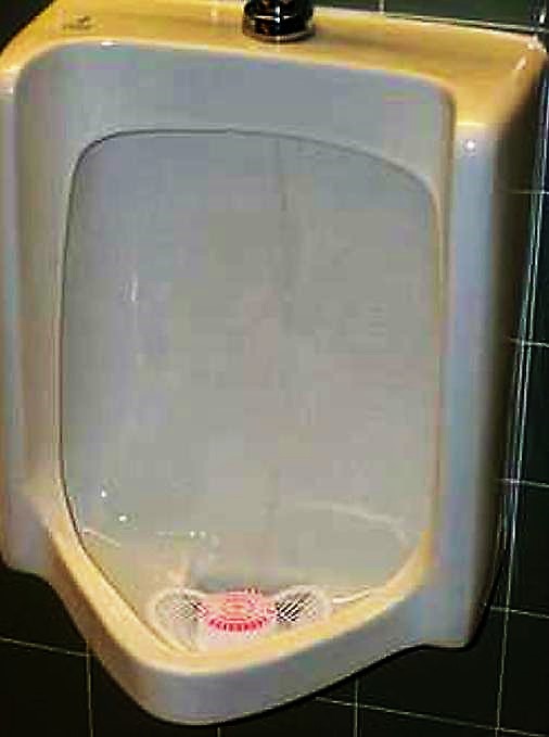 Plastic mesh guard with a protected deodoriser block in a public toilet to prevent blockages caused by waste. Source: WIKIPEDIA (2011)