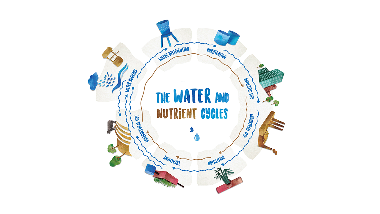 Water Nutrient Cycle