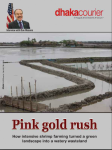 Pink Gold Rush
