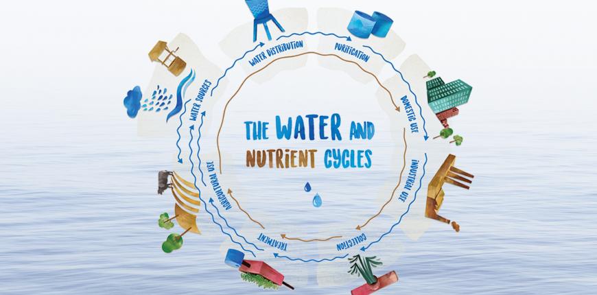 water_and_nutrient_cycle.png