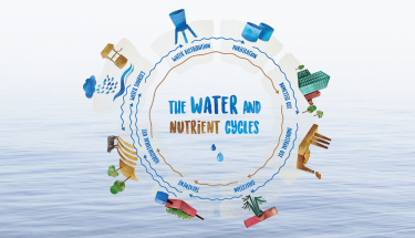 water_and_nutrient_cycle.png