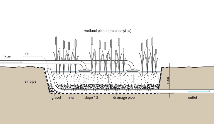 Vertical Flow CW | SSWM