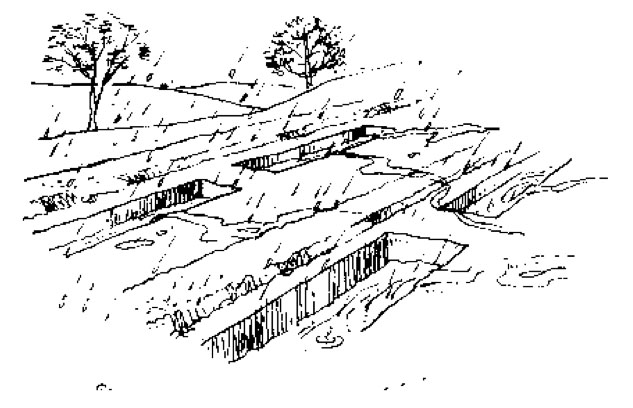 Field Trenches | SSWM