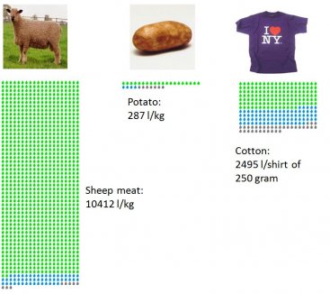 What is a Water Footprint? An Assessment of Water Use Patterns